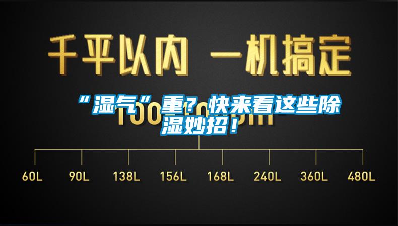 “濕氣”重？快來(lái)看這些除濕妙招！