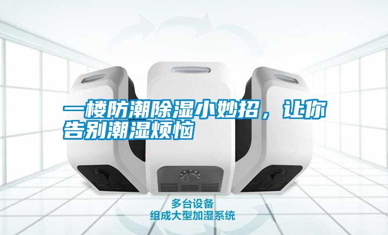 一樓防潮除濕小妙招,讓你告別潮濕煩惱