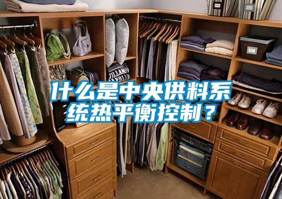 什么是中央供料系統熱平衡控制?