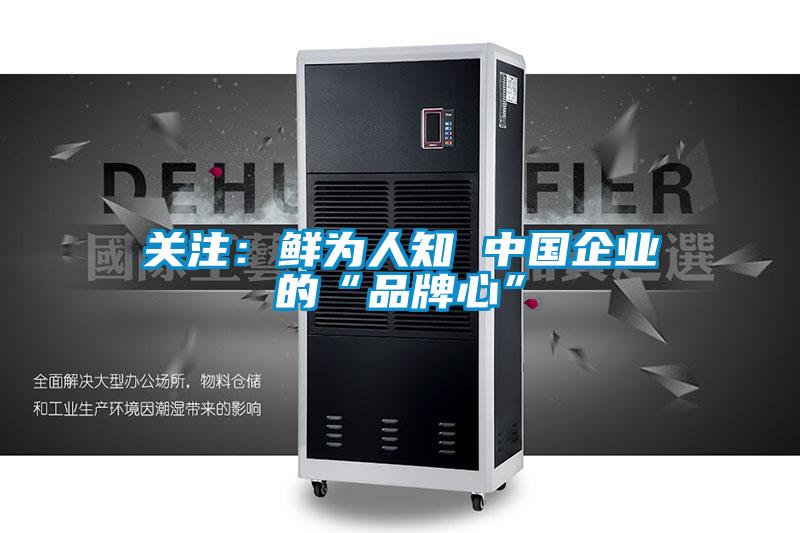 關(guān)注:鮮為人知 中國企業(yè)的“品牌心”