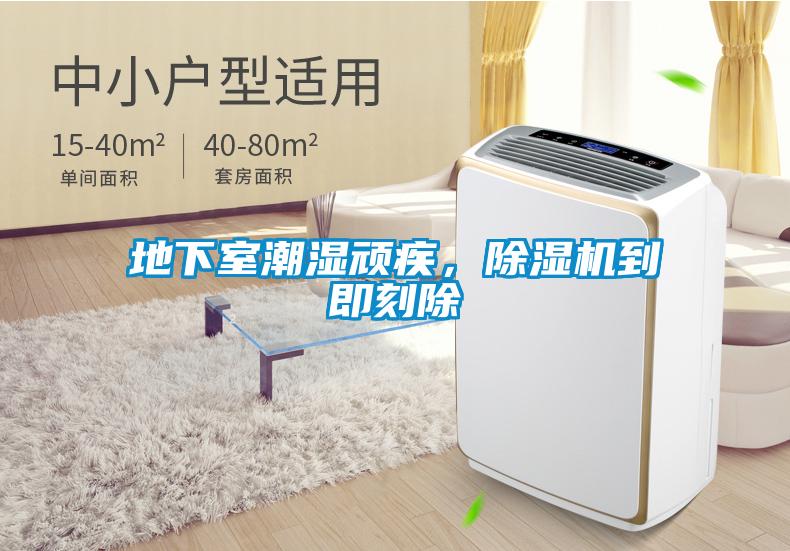 地下室潮濕頑疾,除濕機(jī)到即刻除