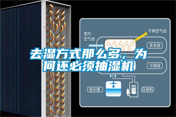 去濕方式那么多，為何還必須抽濕機