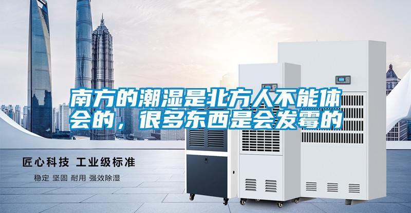 南方的潮濕是北方人不能體會的，很多東西是會發霉的