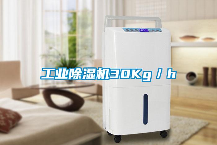工業除濕機30Kg/h