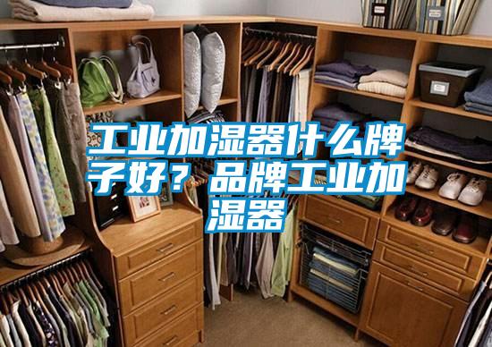 工業(yè)加濕器什么牌子好?品牌工業(yè)加濕器