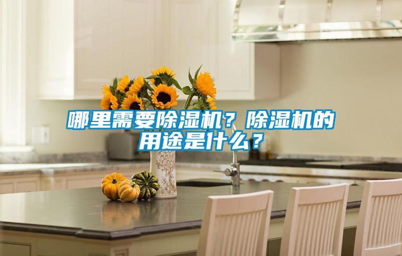哪里需要除濕機？除濕機的用途是什么？