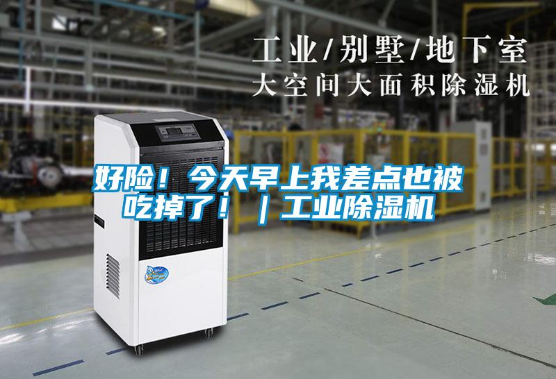 好險!今天早上我差點也被吃掉了?。I除濕機