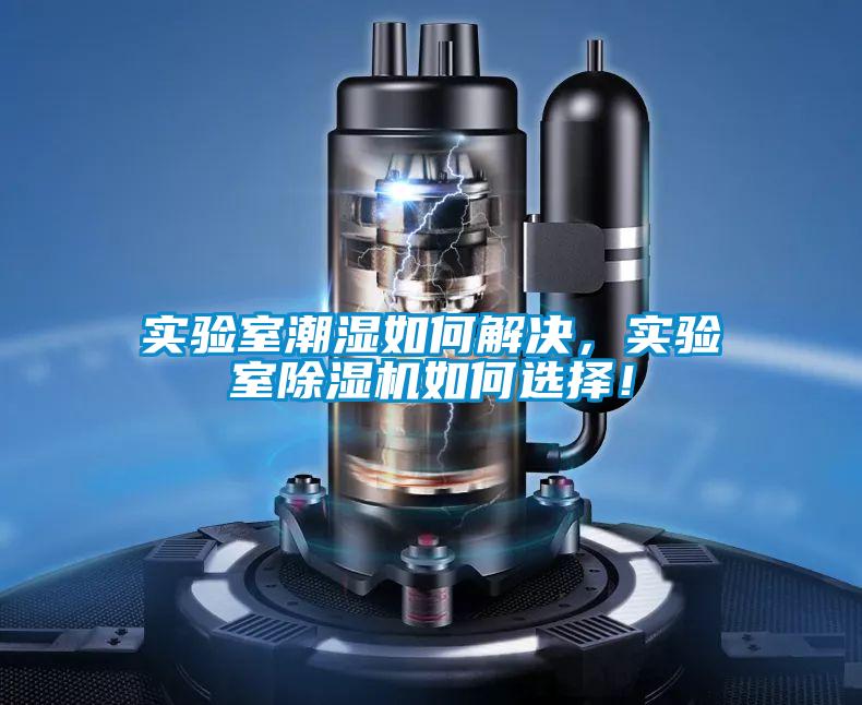 實(shí)驗(yàn)室潮濕如何解決,實(shí)驗(yàn)室除濕機(jī)如何選擇!