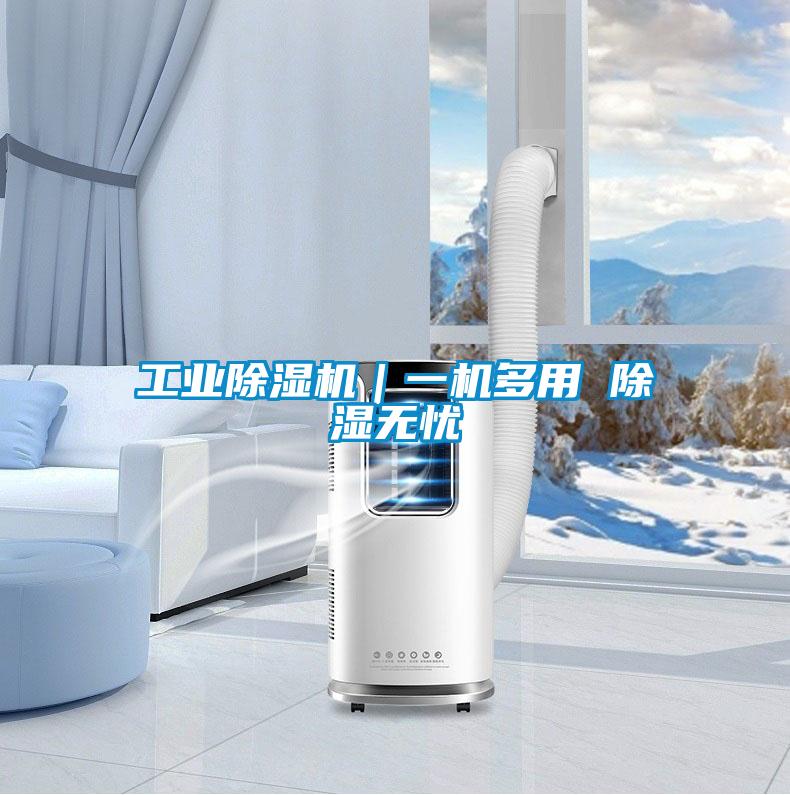 工業除濕機|一機多用 除濕無憂