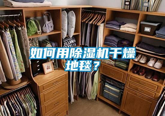 如何用除濕機干燥地毯？