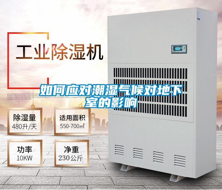 如何應(yīng)對潮濕氣候?qū)Φ叵率业挠绊?/></p>
						    <p style=