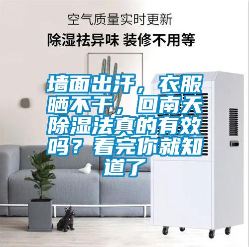 墻面出汗，衣服曬不干，回南天除濕法真的有效嗎？看完你就知道了