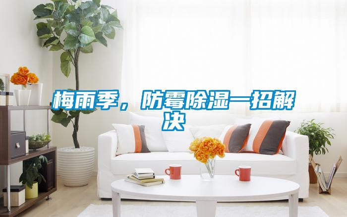 梅雨季，防霉除濕一招解決