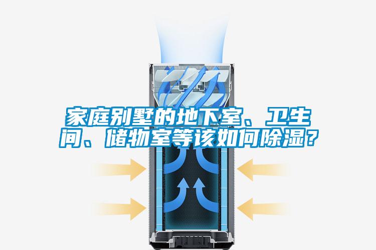 家庭別墅的地下室、衛生間、儲物室等該如何除濕?