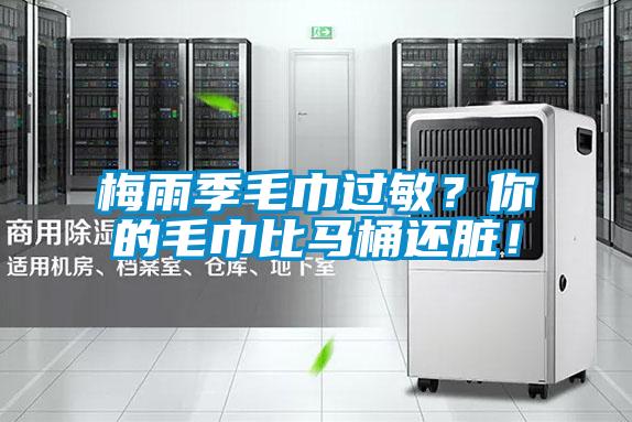 梅雨季毛巾過敏？你的毛巾比馬桶還臟！