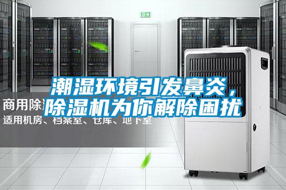 潮濕環境引發鼻炎,除濕機為你解除困擾