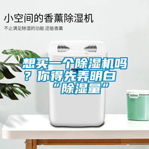 想買一個除濕機嗎?你得先弄明白“除濕量”