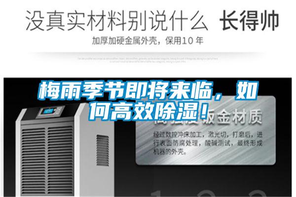 梅雨季節即將來臨，如何高效除濕！