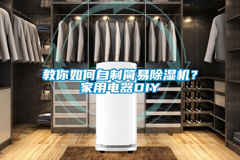 教你如何自制簡易除濕機？家用電器DIY
