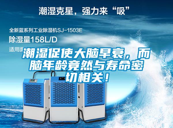 潮濕促使大腦早衰，而腦年齡竟然與壽命密切相關！