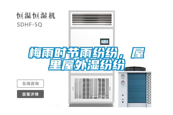 梅雨時節雨紛紛，屋里屋外濕紛紛