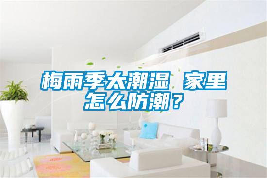 梅雨季太潮濕 家里怎么防潮？