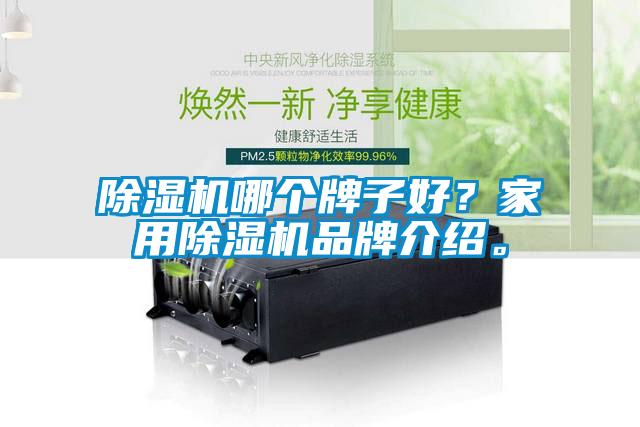 除濕機哪個牌子好？家用除濕機品牌介紹。