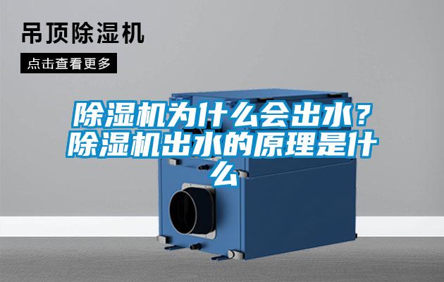 除濕機為什么會出水?除濕機出水的原理是什么