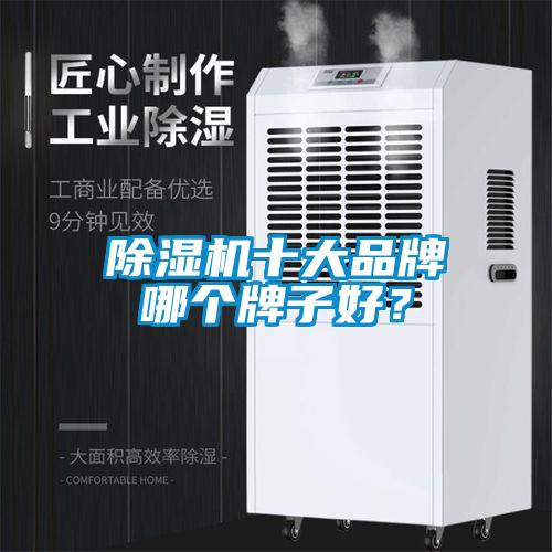 除濕機十大品牌哪個牌子好?