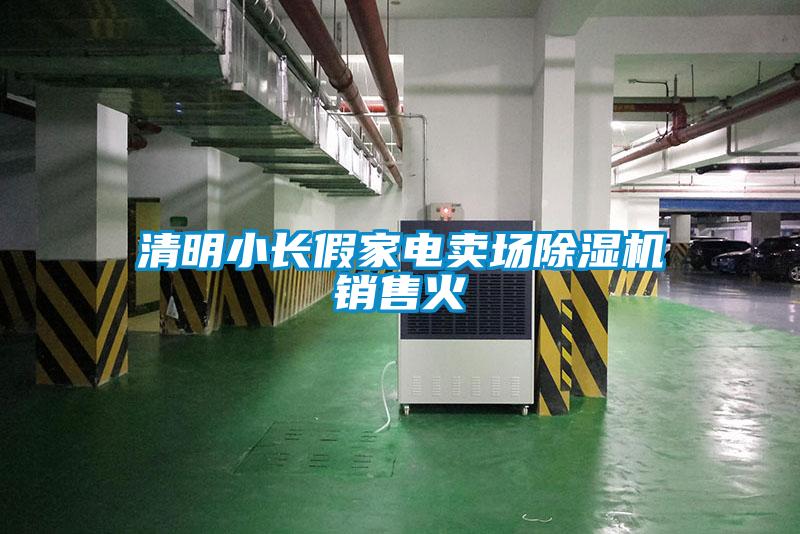 清明小長(zhǎng)假家電賣(mài)場(chǎng)除濕機(jī)銷(xiāo)售火