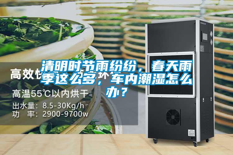清明時節雨紛紛，春天雨季這么多，車內潮濕怎么辦？