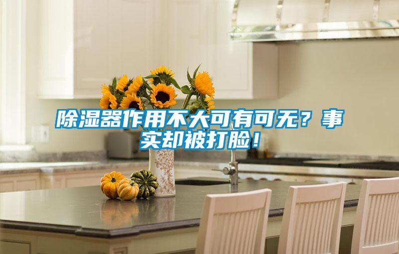 除濕器作用不大可有可無(wú)？事實(shí)卻被打臉！