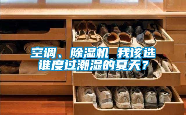 空調(diào)、除濕機 我該選誰度過潮濕的夏天?