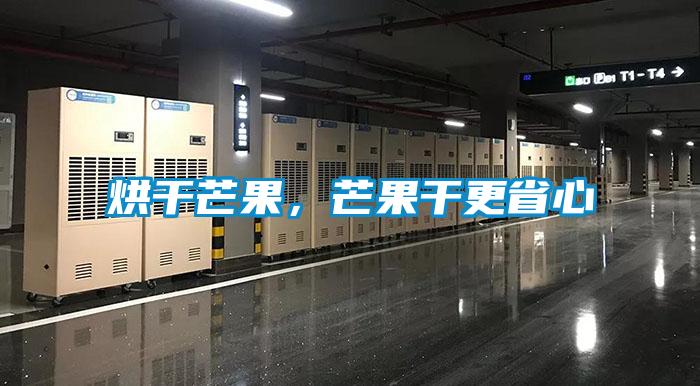 烘干芒果，芒果干更省心