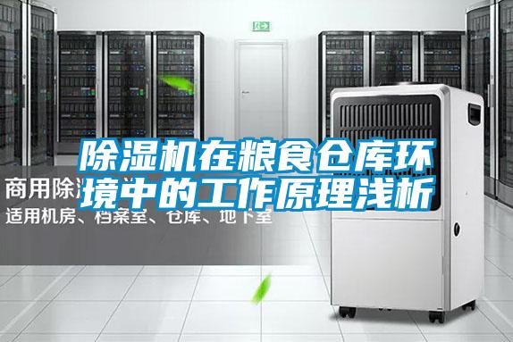 除濕機(jī)在糧食倉(cāng)庫(kù)環(huán)境中的工作原理淺析