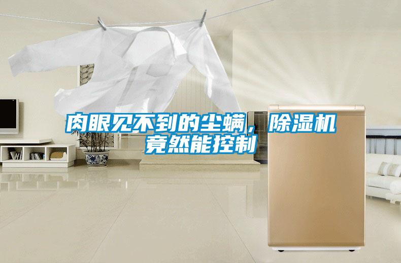 肉眼見不到的塵螨，除濕機(jī)竟然能控制