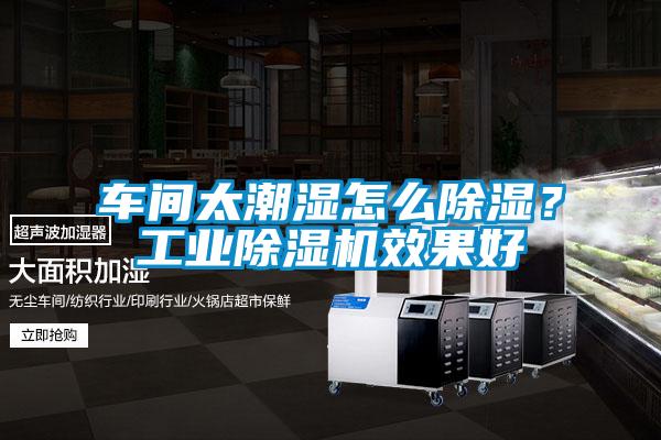 車間太潮濕怎么除濕？工業(yè)除濕機(jī)效果好