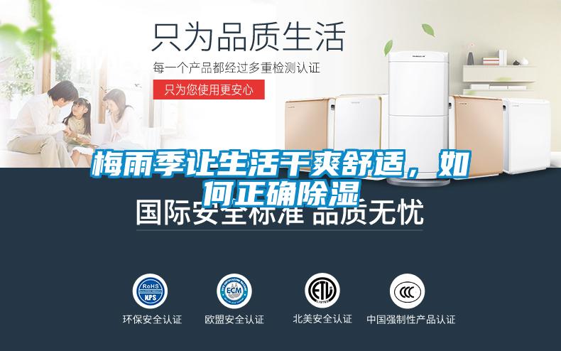 梅雨季讓生活干爽舒適，如何正確除濕