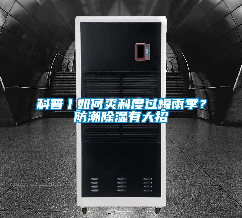 科普丨如何爽利度過梅雨季?防潮除濕有大招