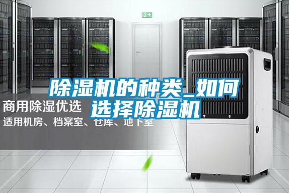 除濕機(jī)的種類(lèi)_如何選擇除濕機(jī)
