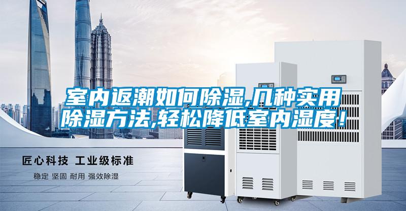室內返潮如何除濕,幾種實用除濕方法,輕松降低室內濕度！