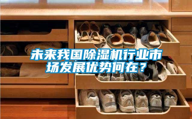 未來我國除濕機行業市場發展優勢何在？