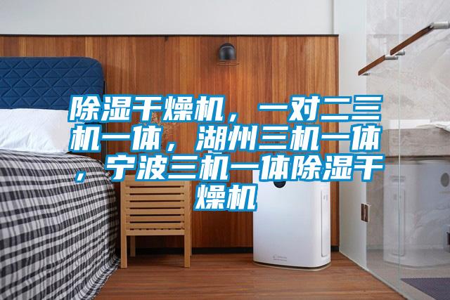 除濕干燥機(jī),一對(duì)二三機(jī)一體,湖州三機(jī)一體,寧波三機(jī)一體除濕干燥機(jī)