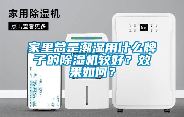 家里總是潮濕用什么牌子的除濕機較好?效果如何?