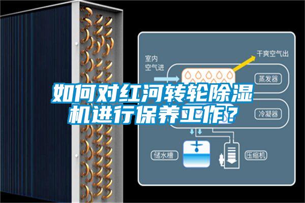 如何對紅河轉輪除濕機進行保養工作？