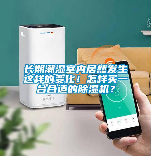 長期潮濕室內(nèi)居然發(fā)生這樣的變化!怎樣買一臺合適的除濕機?