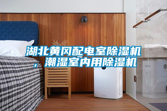 湖北黃岡配電室除濕機，潮濕室內用除濕機