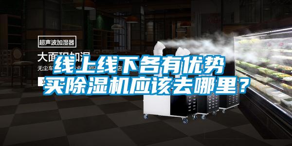 線上線下各有優(yōu)勢 買除濕機應(yīng)該去哪里？