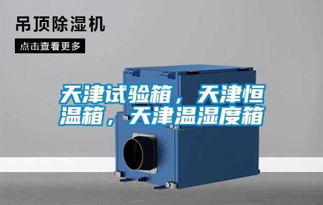 天津試驗(yàn)箱,天津恒溫箱,天津溫濕度箱