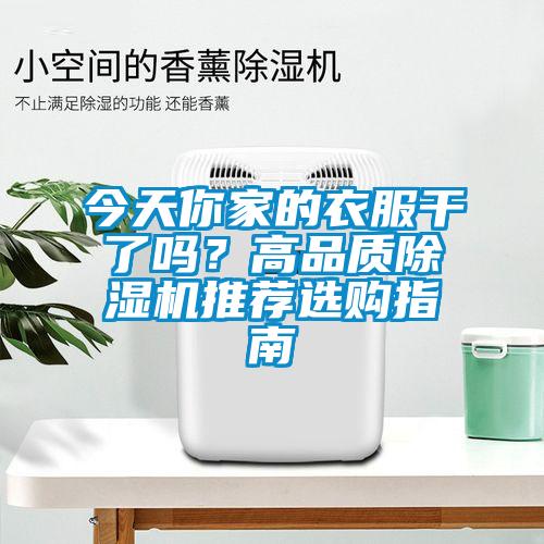 今天你家的衣服干了嗎?高品質除濕機推薦選購指南